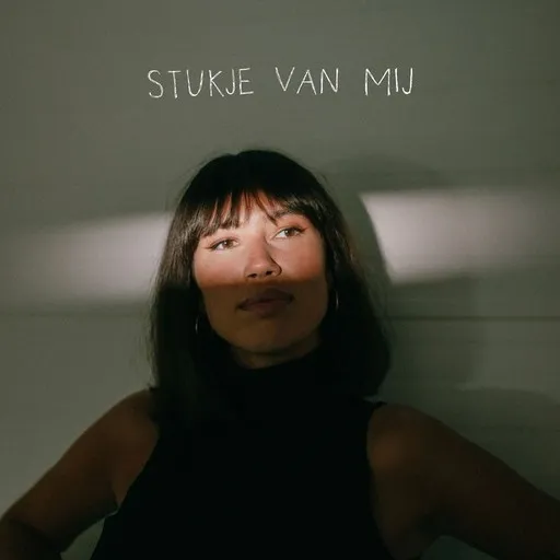Karaoke Stukje Van Mij by Meau — sing along with lyrics on Singa
