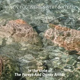 Omslagsbild för The Fureys And Davey Arthur