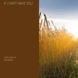 Cover art for If I Can't Have You - Etta James karaoke version
