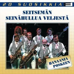 Cover art for Seitsemän seinähullua veljestä