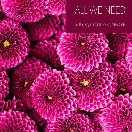 Karaoke All We Need von ODESZA, Shy Girls — mit Songtext mitsingen auf Singa