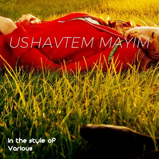 Karaoke Ushavtem Mayim by Various — sing along with lyrics on Singa