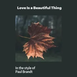Omslagsbild för Love Is a Beautiful Thing - Paul Brandt karaokeversion