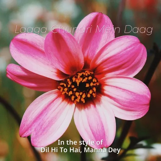 Karaoke Laaga Chunari Mein Daag esittäjältä Dil Hi To Hai, Manna Dey — laula mukana sanoituksilla Singassa
