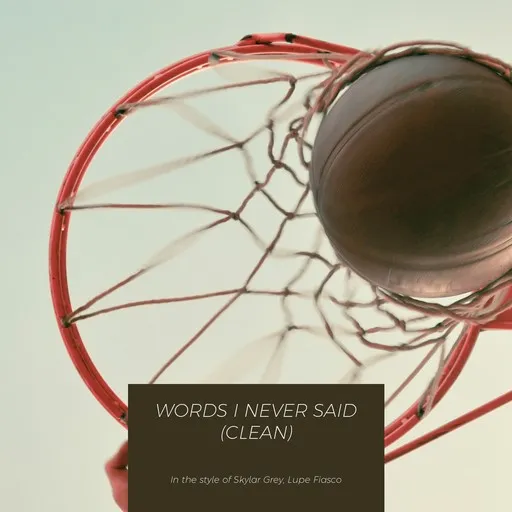 Karaoke Words I Never Said (clean) by Lupe Fiasco, Skylar Grey — sing along with lyrics on Singa