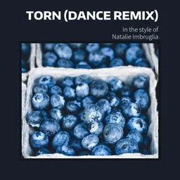 Cover art for Torn (Dance Remix) - Natalie Imbruglia karaoke version