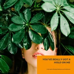 Cover art for You've Really Got a Hold On Me - Smokey Robinson and the Miracles karaoke version