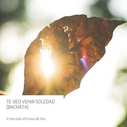 Cover art for Te Veo Venir Soledad (Bachata) - Franco de Vita karaoke version