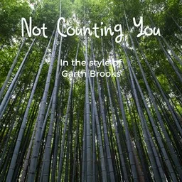 Titelbild für Not Counting You - Garth Brooks Karaoke-Version