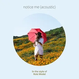 Cover art for Role Model