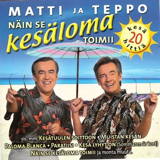 Karaoke Se on mahtavaa! by Matti ja Teppo — sing along with lyrics on Singa
