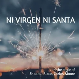Karaokekappaleen Ni Virgen Ni Santa - Carlos Moore,Shadow Blow kansikuva