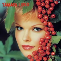 Cover art for Yksinäinen pihlaja - Tamara Lund karaoke version