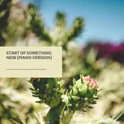 Cover art for Start Of Something New (Piano Version) - Drew Seeley,High School Musical,Vanessa Hudgens,Zac Efron karaoke version