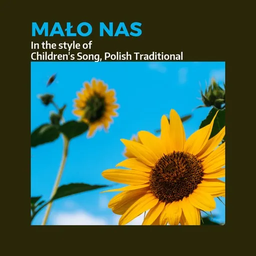 Mało nas - Karaoke