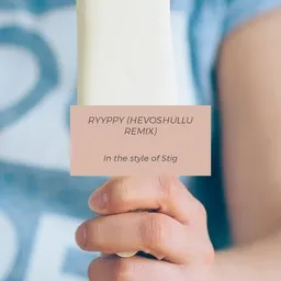 Cover art for Ryyppy (Hevoshullu Remix) - Stig karaoke version