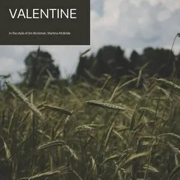 Omslagsbild för Valentine - Jim Brickman,Martina McBride karaokeversion