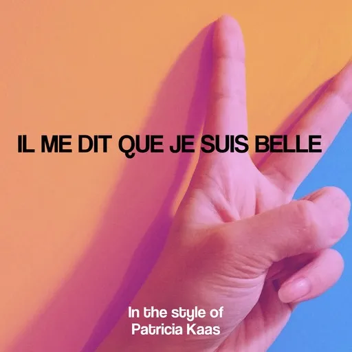Il me dit que je suis belle - Karaoke