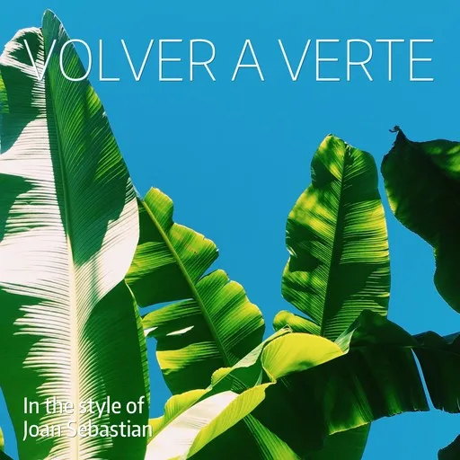 Volver A Verte - Karaoke