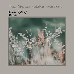 Cover art for Too Sweet (Guitar Version) - Hozier karaoke version