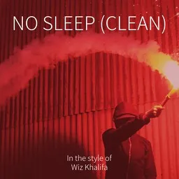 Cover art for No Sleep (clean) - Wiz Khalifa karaoke version