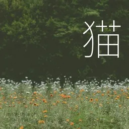 Karaokekappaleen 猫 - DISH (ディッシュ) kansikuva