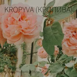 Mykhaylo Poplavskyy (Михайло Поплавський) - Karaoke