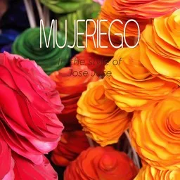 Cover art for Mujeriego - José José karaoke version
