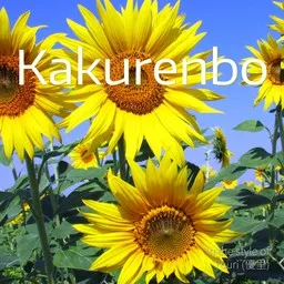 Cover art for Kakurenbo - Yuuri (優里) karaoke version