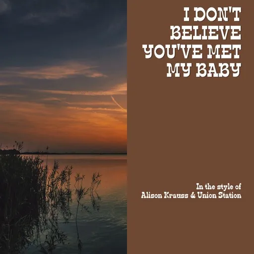 I Don't Believe You've Met My Baby - Karaoke