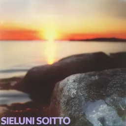 Cover art for Sieluni soitto - Channel Four karaoke version