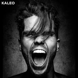 Titelbild für Break My Baby - KALEO Karaoke-Version
