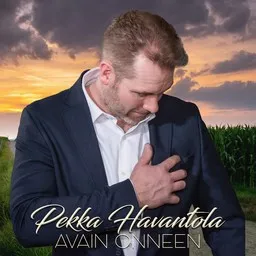 Omslagsbild för Avain onneen - Pekka Havantola karaokeversion