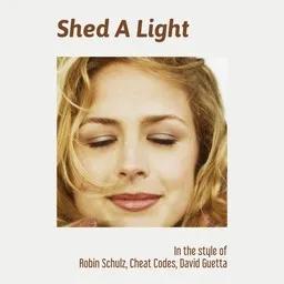 Cover art for Shed A Light - Cheat Codes,David Guetta,Robin Schulz karaoke version