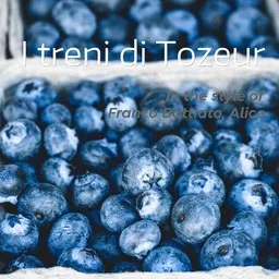 Titelbild für I treni di Tozeur - Alice,Franco Battiato Karaoke-Version