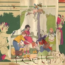 Cover art for Grass - Animal Collective karaoke version