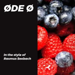 Cover art for Øde ø - Rasmus Seebach karaoke version