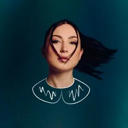 Cover art for Linh