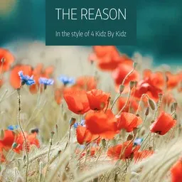 Cover art for The Reason - 4 Kidz By Kidz karaoke version