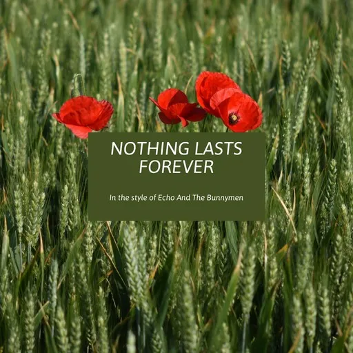 Karaoke Nothing Lasts Forever av Echo & The Bunnymen — sjung med på texten på Singa