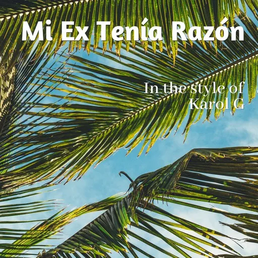 Mi Ex Tenía Razón - Karaoke