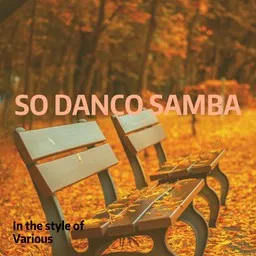 Cover art for So Danco Samba - Various karaoke version