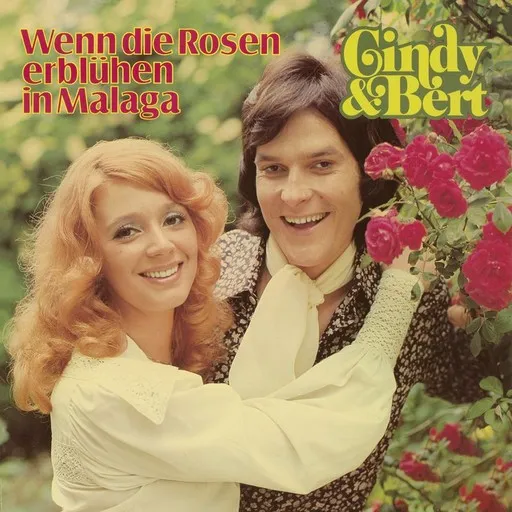 Karaoke Zwei Gitarren in der Sternennacht by Cindy & Bert — sing along with lyrics on Singa