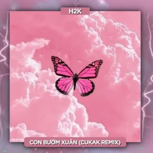 Con Bướm Xuân (Remix) - Karaoke