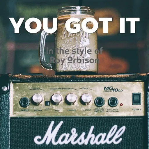 Karaoke You Got It by Roy Orbison — sing along with lyrics on Singa