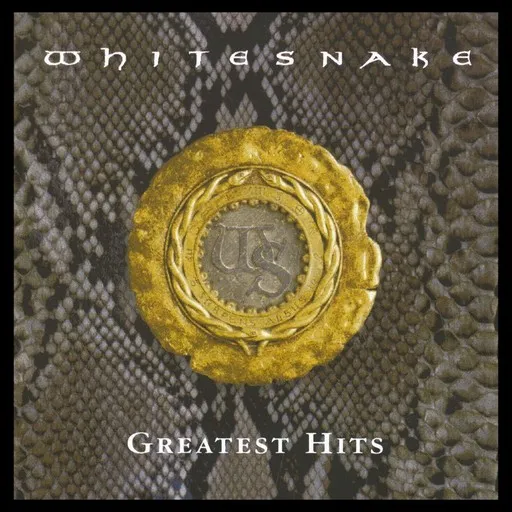 Karaoke Now You're Gone by Whitesnake — sing along with lyrics on Singa