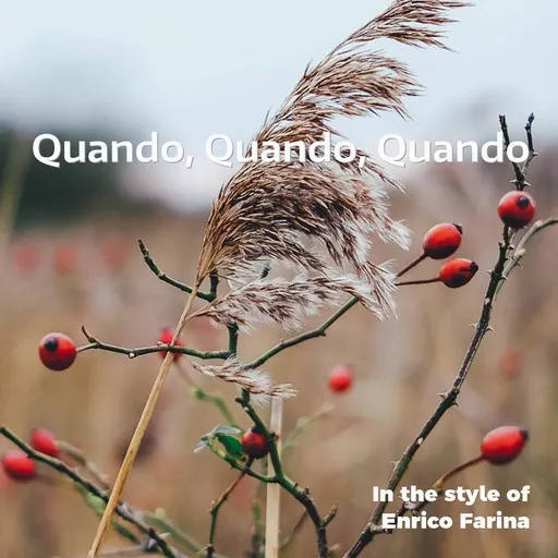 Karaoke Quando, Quando, Quando by Enrico Farina — sing along with lyrics on Singa