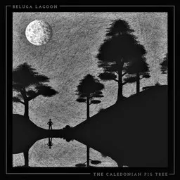 Artistin Beluga Lagoon kansikuva