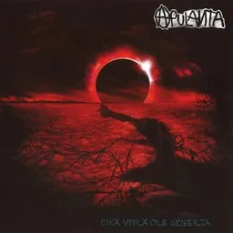 Cover art for Viisaus ei asu meissä - Apulanta karaoke version