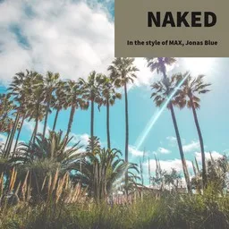 Cover art for Naked - Jonas Blue,MAX karaoke version